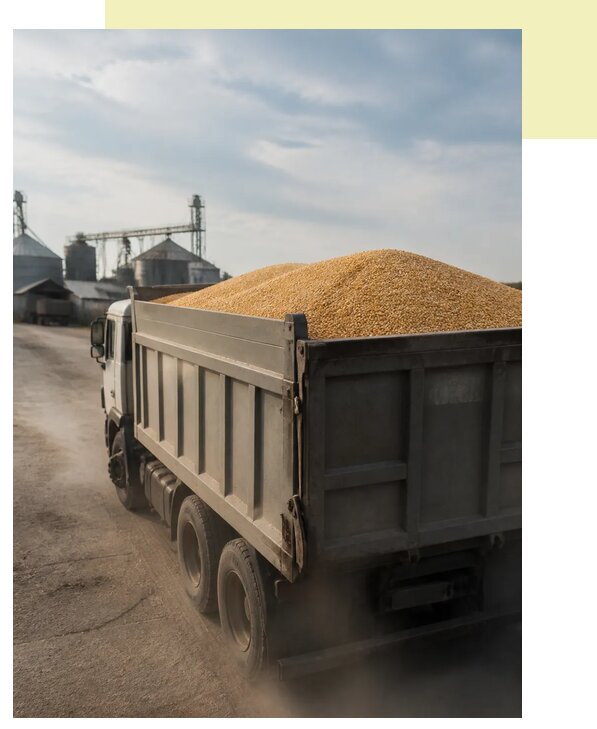 Перевозка сельхозпродукции навалом в Карталы по цене от 3129 р. | Агросервис-Крт