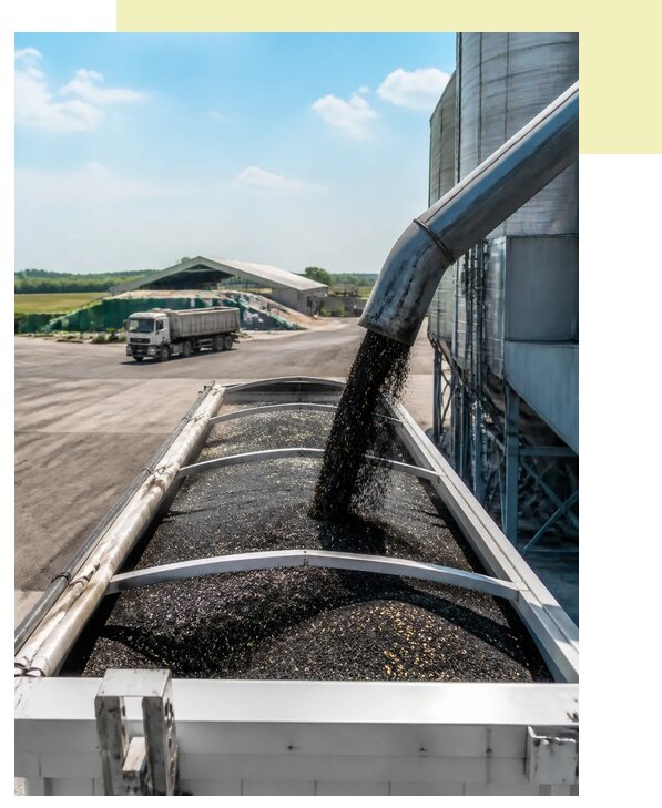 Перевозка подсолнечника в Карталы по цене от 5581 р. | Агросервис-Крт