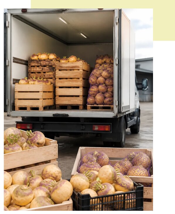 Перевозка репы автотранспортом в Карталы по цене от 5216 р. | Агросервис-Крт